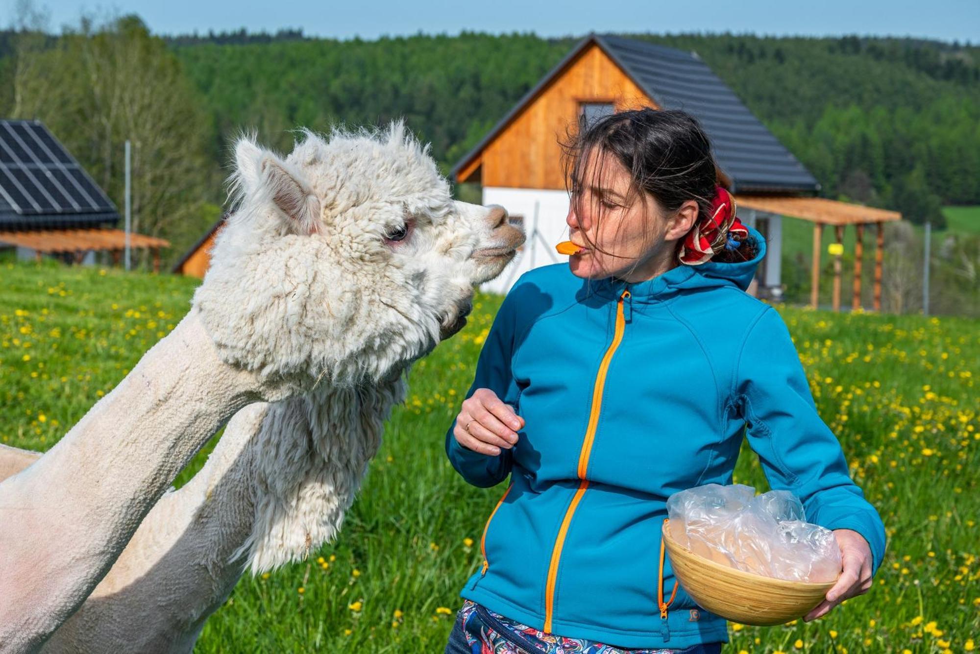Pastelova Krova - Domki W Bieszczadach Ustrzyki Dolne Eksteriør billede